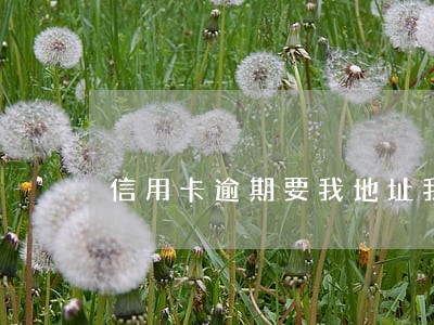 信用卡逾期要我地址我没给 信用卡逾期要我地址我没给