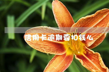 信用卡逾期要扣钱么 信用卡逾期要扣钱么