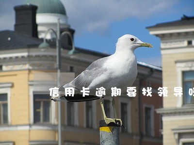 信用卡逾期要找领导吗 信用卡逾期要找领导吗