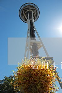 信用卡逾期要把我录入失信