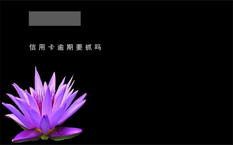 信用卡逾期要抓吗 信用卡逾期要抓吗