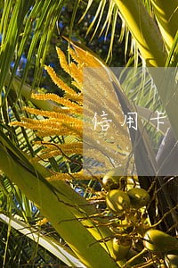 信用卡逾期要换本金可以吗 信用卡逾期要换本金可以吗
