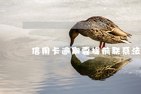 信用卡逾期要提前联系法官吗