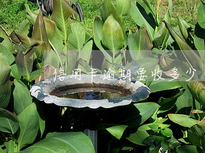 信用卡逾期要收多少