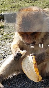 信用卡逾期要来调查资产 信用卡逾期要来调查资产