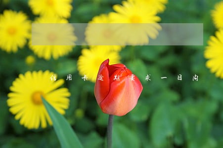 信用卡逾期要求一日内 信用卡逾期要求一日内