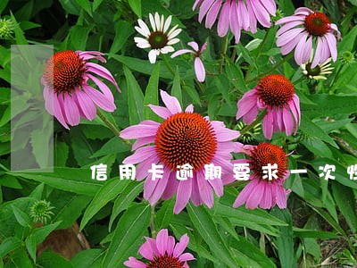 信用卡逾期要求一次性结算怎么办 信用卡逾期要求一次性结算怎么办