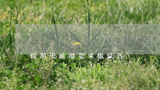 信用卡逾期要求做录音 信用卡逾期要求做录音