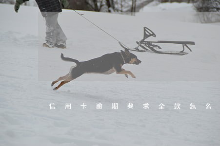 信用卡逾期要求全款怎么办6 信用卡逾期要求全款怎么办6