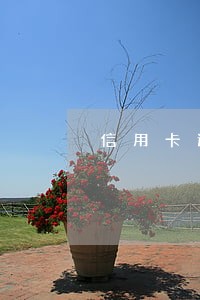 信用卡逾期要求去公安局报案 信用卡逾期要求去公安局报案