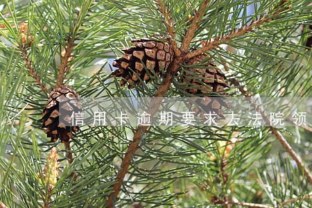 信用卡逾期要求去法院领传票 信用卡逾期要求去法院领传票