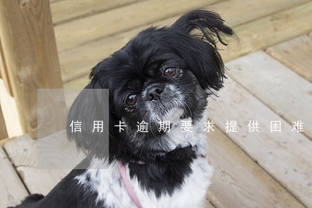 信用卡逾期要求提供困难证明 信用卡逾期要求提供困难证明