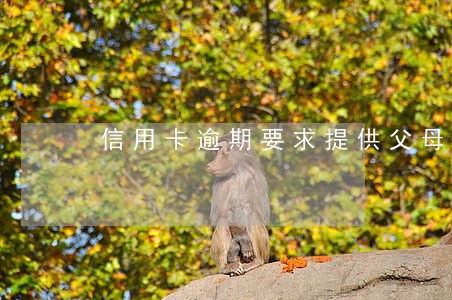 信用卡逾期要求提供父母信息 信用卡逾期要求提供父母信息