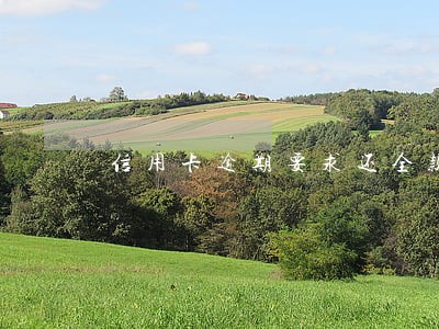 信用卡逾期要求还全款怎么办 信用卡逾期要求还全款怎么办
