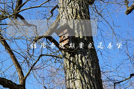 信用卡逾期要求还房贷 信用卡逾期要求还房贷