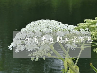 信用卡逾期要求退息 信用卡逾期要求退息