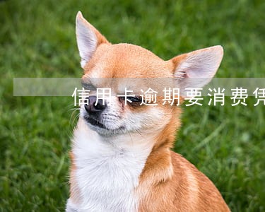 信用卡逾期要消费凭证 信用卡逾期要消费凭证