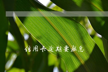 信用卡逾期要涨息
