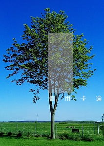 信用卡逾期要父母到场 信用卡逾期要父母到场