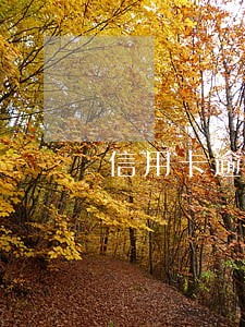 信用卡逾期要移交法院了 信用卡逾期要移交法院了