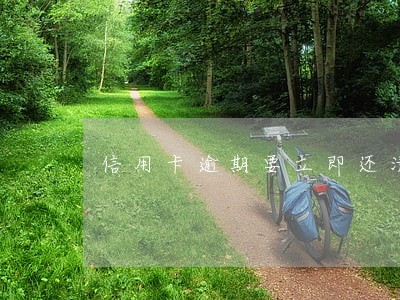 信用卡逾期要立即还清吗