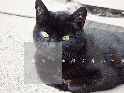 信用卡逾期要等几年恢复正常