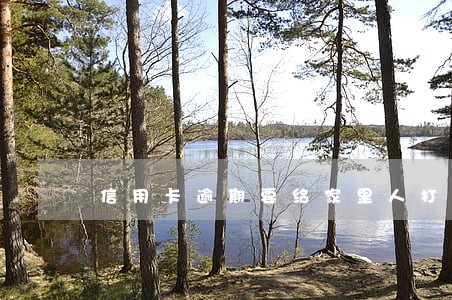 信用卡逾期要给家里人打电话 信用卡逾期要给家里人打电话