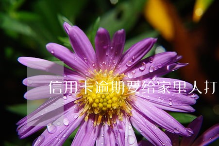 信用卡逾期要给家里人打电话吗 信用卡逾期要给家里人打电话吗