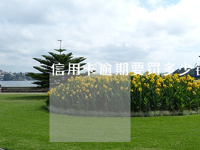 信用卡逾期要罚多少钱 信用卡逾期要罚多少钱
