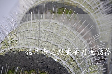 信用卡逾期要要打电话给银行吗