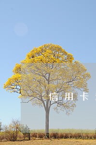 信用卡逾期要调去我通话记录