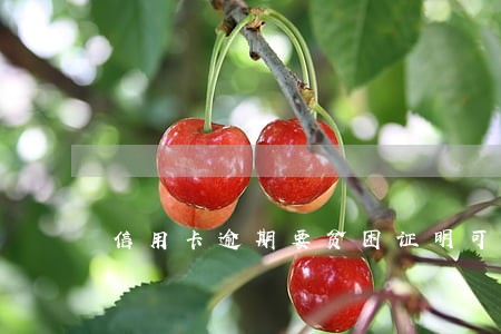 信用卡逾期要贫困证明可信吗 信用卡逾期要贫困证明可信吗