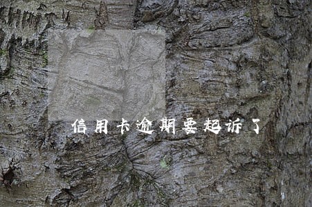 信用卡逾期要起诉了 信用卡逾期要起诉了