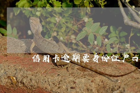 信用卡逾期要身份证户口本