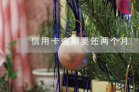 信用卡逾期要还两个月