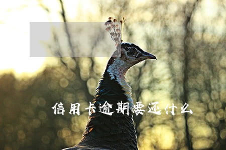 信用卡逾期要还什么