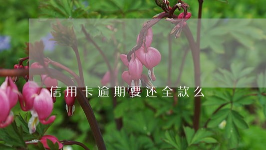 信用卡逾期要还全款么 信用卡逾期要还全款么