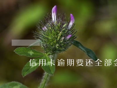 信用卡逾期要还全部金额吗