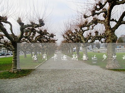 信用卡逾期要还多少利息
