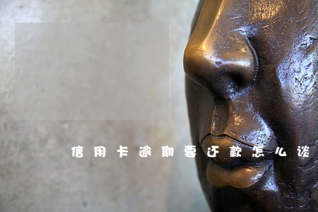 信用卡逾期要还款怎么谈减免 信用卡逾期要还款怎么谈减免