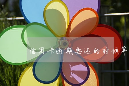 信用卡逾期要还的时候算利息嘛 信用卡逾期要还的时候算利息嘛