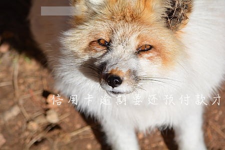 信用卡逾期要还预付款才能协商