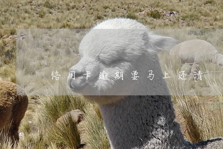 信用卡逾期要马上还清