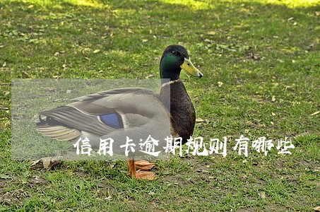 信用卡逾期规则有哪些 信用卡逾期规则有哪些