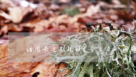 信用卡逾期规模2020