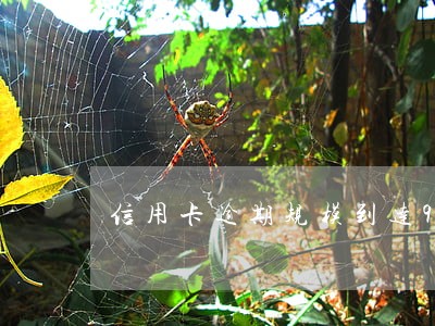 信用卡逾期规模到达900亿 信用卡逾期规模到达900亿