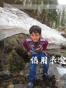 信用卡逾期规模扩大