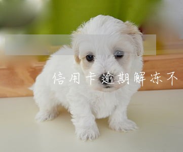 信用卡逾期解冻不了该不该注销 信用卡逾期解冻不了该不该注销