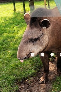 信用卡逾期解冻余额 信用卡逾期解冻余额