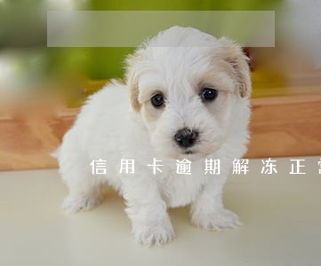 信用卡逾期解冻正常可不可以用